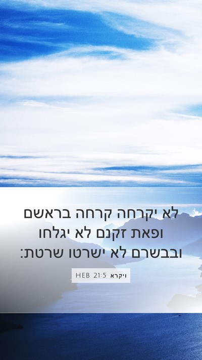 ויקרא 21:5 HEB Bible Verse Image