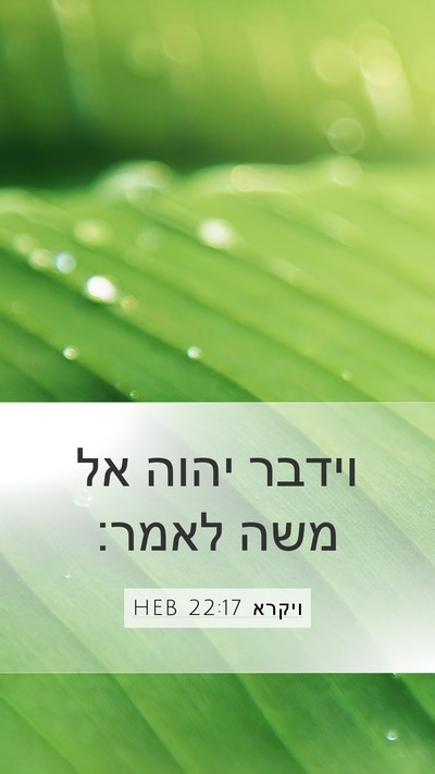 ויקרא 22:17 HEB Mobile Phone Wallpaper - וידבר יהוה אל משה - Mobile Bible Verse Wallpaper