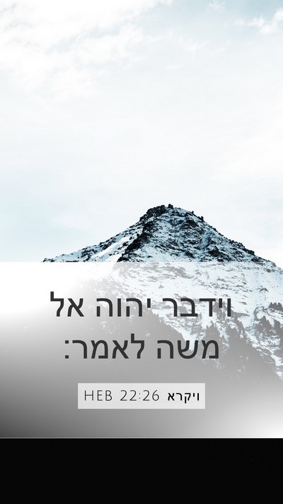 ויקרא 22:26 HEB Mobile Phone Wallpaper - וידבר יהוה אל משה - Mobile Bible Verse Wallpaper
