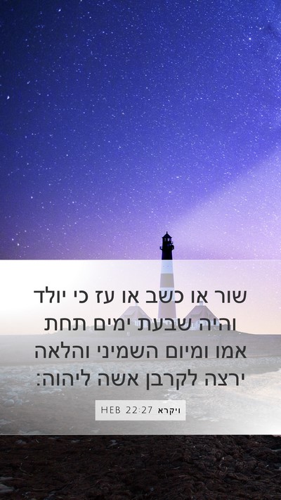 ויקרא 22:27 HEB Mobile Phone Wallpaper - שור או כשב או עז כי יולד - Mobile Bible Verse Wallpaper