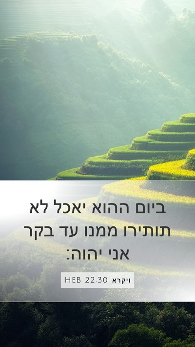 ויקרא 22:30 HEB Bible Verse Image
