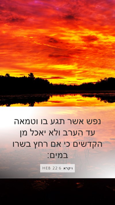 ויקרא 22:6 HEB Bible Verse Image