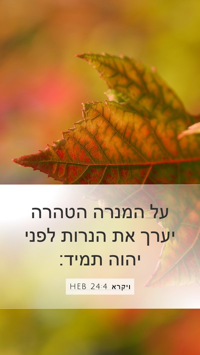 ויקרא 24:4 HEB Bible Verse Image