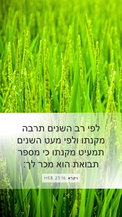 ויקרא 25:16 HEB Mobile Phone Wallpaper - לפי רב השנים תרבה מקנתו - Mobile Bible Verse Wallpaper