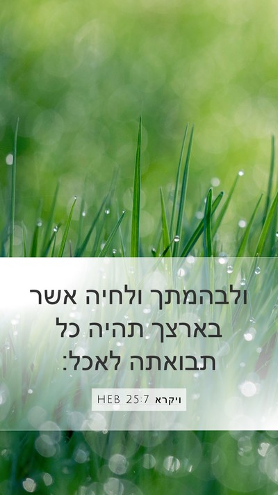 ויקרא 25:7 HEB Mobile Phone Wallpaper - ולבהמתך ולחיה אשר בארצך - Mobile Bible Verse Wallpaper