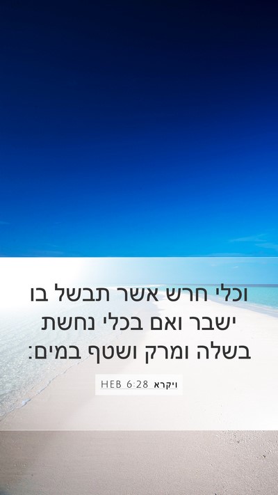 ויקרא 6:28 HEB Bible Verse Image