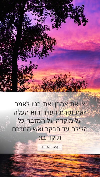 ויקרא 6:9 HEB Bible Verse Image