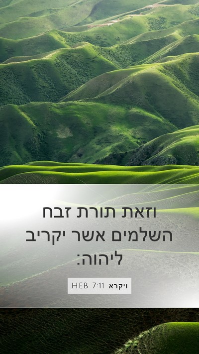 ויקרא 7:11 HEB Bible Verse Image