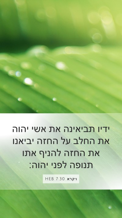 ויקרא 7:30 HEB Bible Verse Image