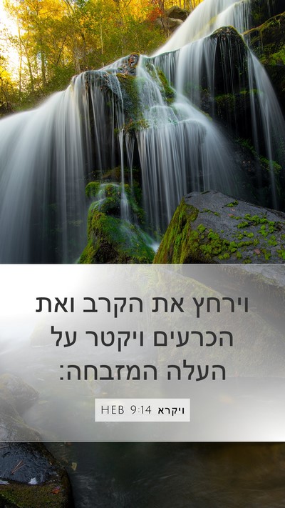 ויקרא 9:14 HEB Mobile Phone Wallpaper - וירחץ את הקרב ואת הכרעים - Mobile Bible Verse Wallpaper