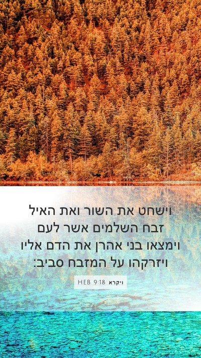 ויקרא 9:18 HEB Bible Verse Image