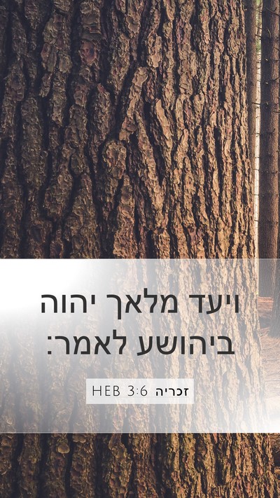 זכריה 3:6 HEB Bible Verse Image