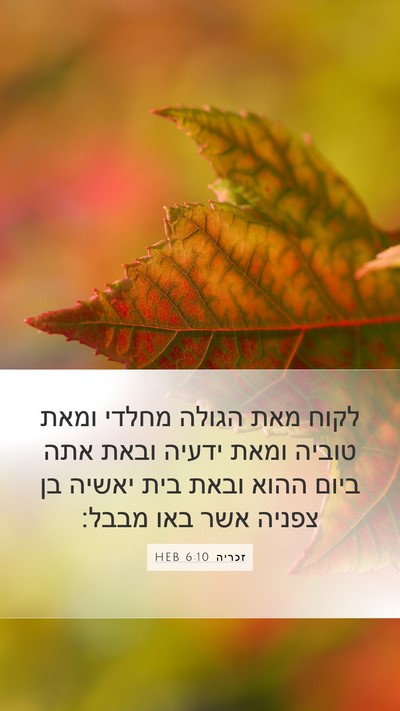 זכריה 6:10 HEB Bible Verse Image