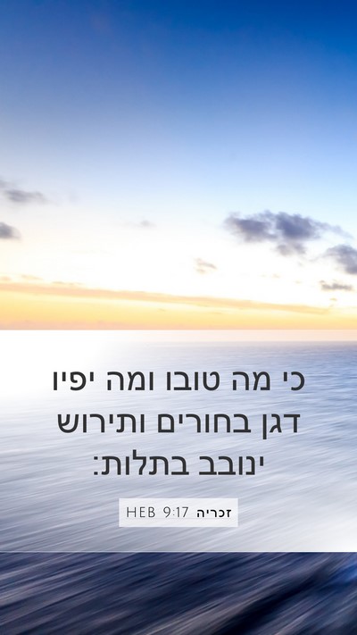 זכריה 9:17 HEB Bible Verse Image