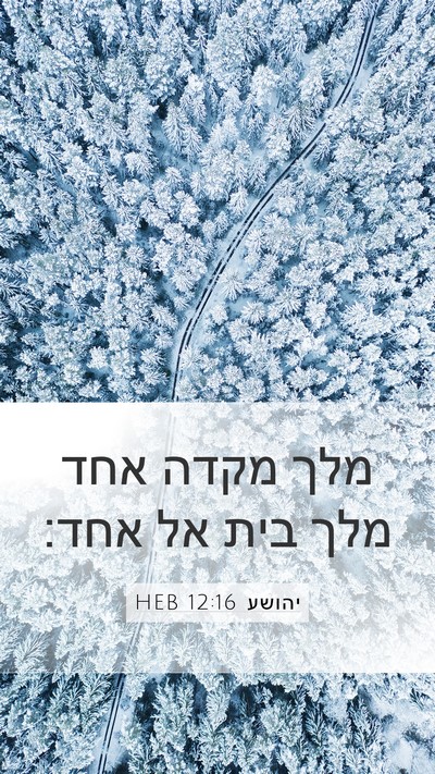 יהושע 12:16 HEB Mobile Phone Wallpaper - מלך מקדה אחד מלך בית אל - Mobile Bible Verse Wallpaper