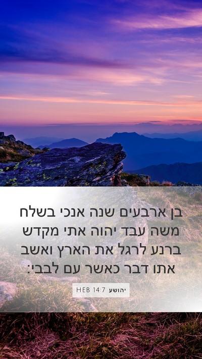 יהושע 14:7 HEB Bible Verse Image