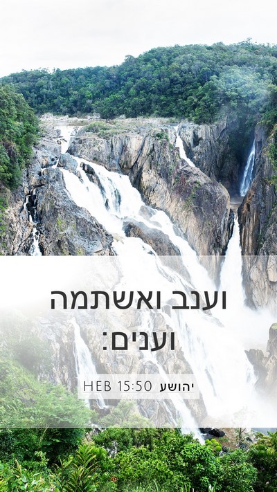 יהושע 15:50 HEB Mobile Phone Wallpaper - וענב ואשתמה - Mobile Bible Verse Wallpaper
