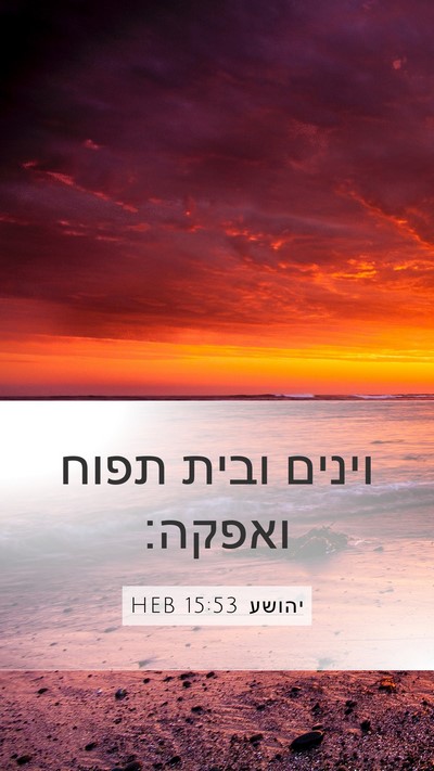 יהושע 15:53 HEB Bible Verse Image