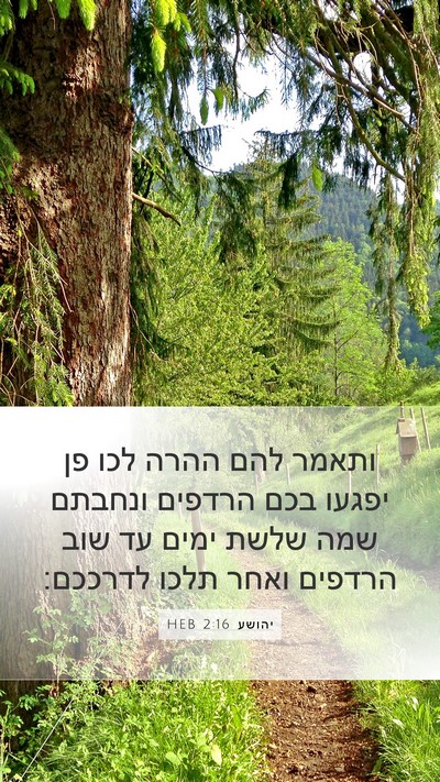 יהושע 2:16 HEB Mobile Phone Wallpaper - ותאמר להם ההרה לכו פן יפגעו - Mobile Bible Verse Wallpaper