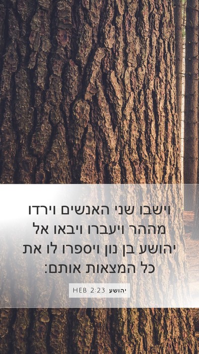 יהושע 2:23 HEB Mobile Phone Wallpaper - וישבו שני האנשים וירדו - Mobile Bible Verse Wallpaper