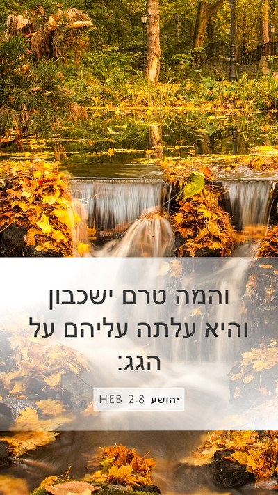 יהושע 2:8 HEB Mobile Phone Wallpaper - והמה טרם ישכבון והיא עלתה - Mobile Bible Verse Wallpaper
