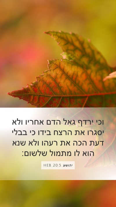 יהושע 20:5 HEB Mobile Phone Wallpaper - וכי ירדף גאל הדם אחריו ולא - Mobile Bible Verse Wallpaper
