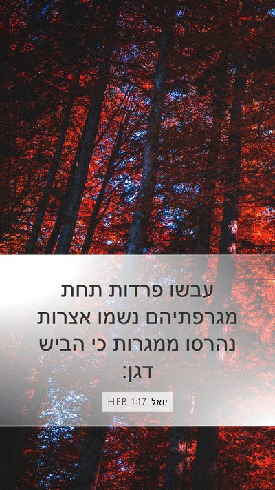 יואל 1:17 HEB Bible Verse Image