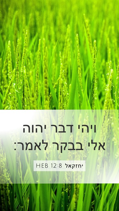 יחזקאל 12:8 HEB Mobile Phone Wallpaper - ויהי דבר יהוה אלי בבקר - Mobile Bible Verse Wallpaper