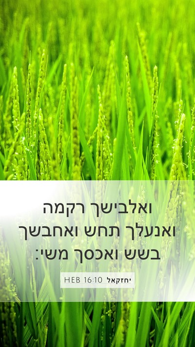 יחזקאל 16:10 HEB Bible Verse Image