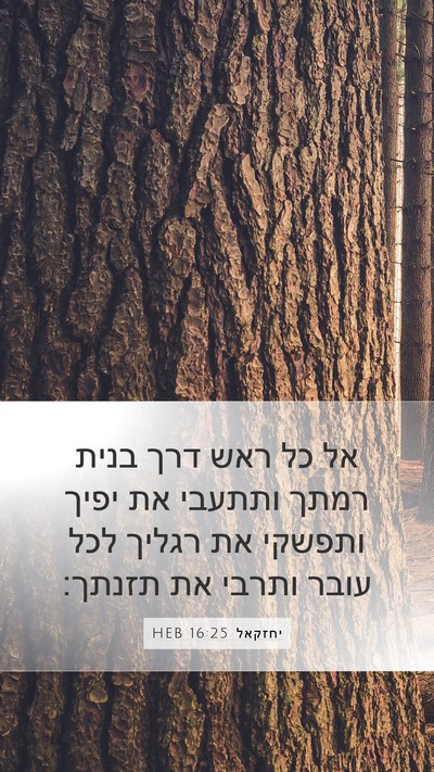 יחזקאל 16:25 HEB Bible Verse Image