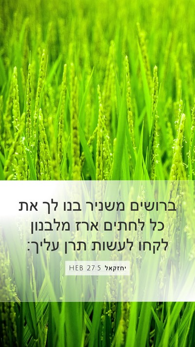 יחזקאל 27:5 HEB Bible Verse Image