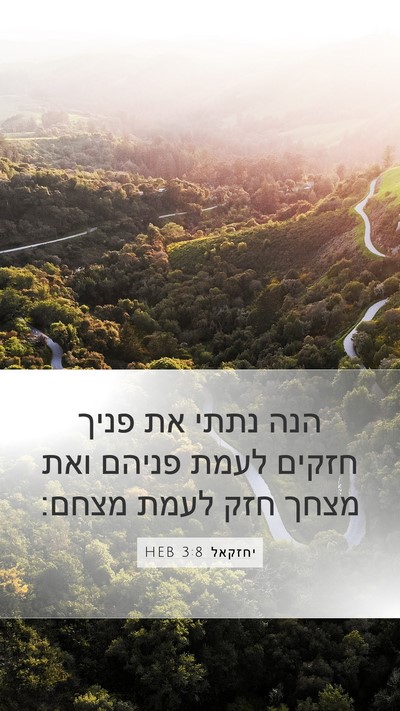 יחזקאל 3:8 HEB Bible Verse Image