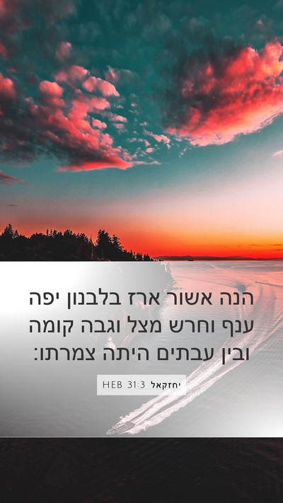 יחזקאל 31:3 HEB Bible Verse Image