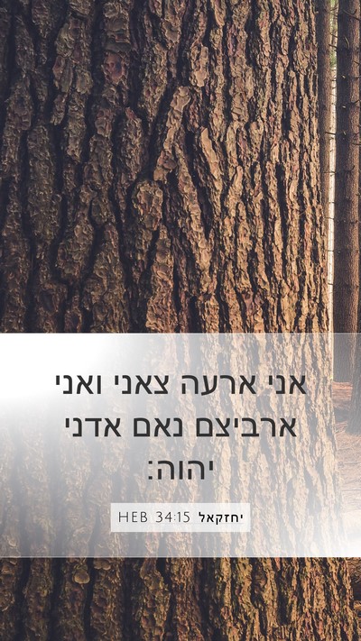 יחזקאל 34:15 HEB Bible Verse Image