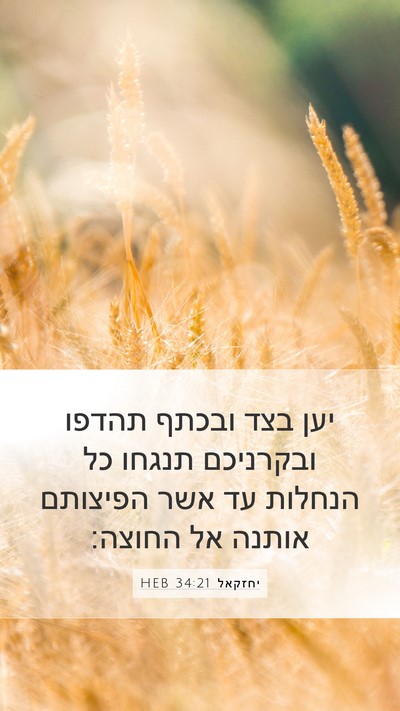 יחזקאל 34:21 HEB Bible Verse Image