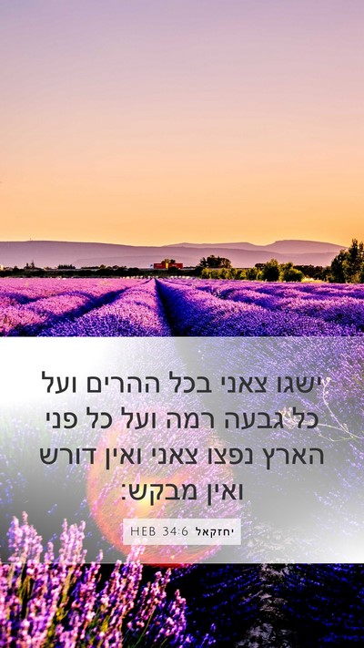 יחזקאל 34:6 HEB Bible Verse Image
