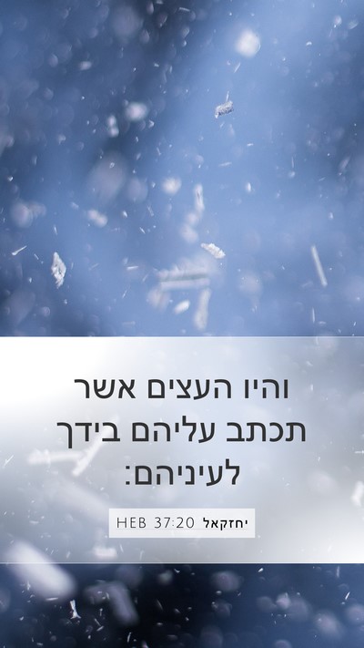יחזקאל 37:20 HEB Bible Verse Image