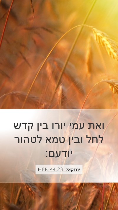 יחזקאל 44:23 HEB Bible Verse Image