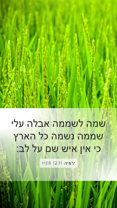 ירמיה 12:11 HEB Mobile Phone Wallpaper - שמה לשממה אבלה עלי שממה - Mobile Bible Verse Wallpaper