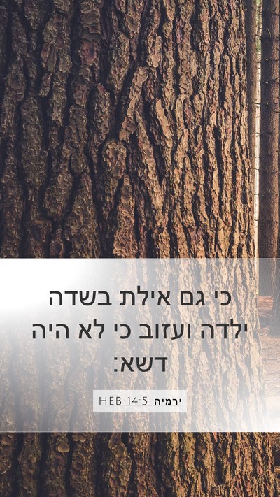 ירמיה 14:5 HEB Bible Verse Image