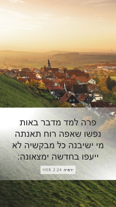 ירמיה 2:24 HEB Bible Verse Image