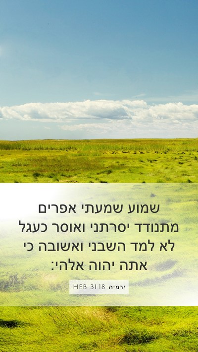 ירמיה 31:18 HEB Bible Verse Image