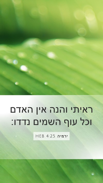 ירמיה 4:25 HEB Bible Verse Image