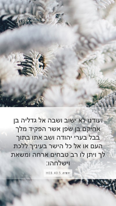ירמיה 40:5 HEB Bible Verse Image