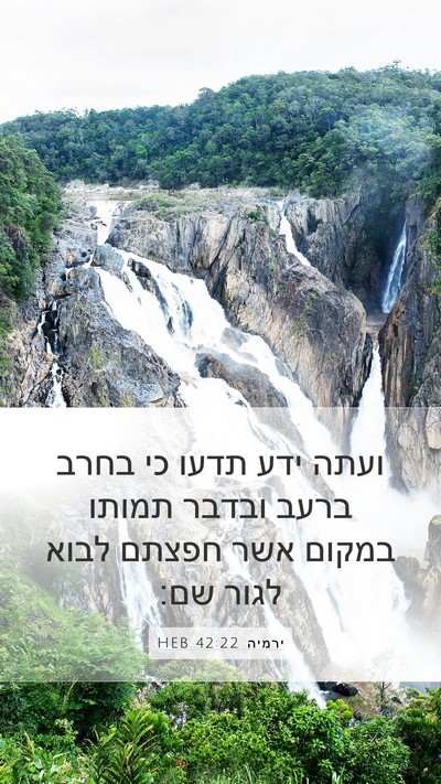ירמיה 42:22 HEB Bible Verse Image
