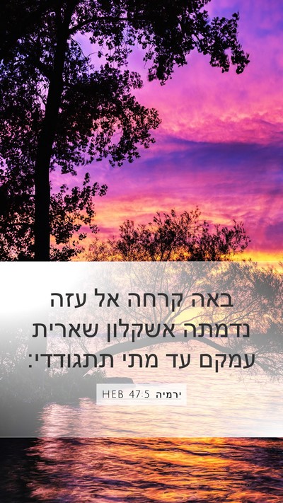 ירמיה 47:5 HEB Bible Verse Image