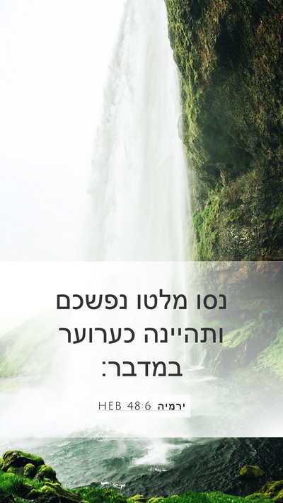 ירמיה 48:6 HEB Bible Verse Image