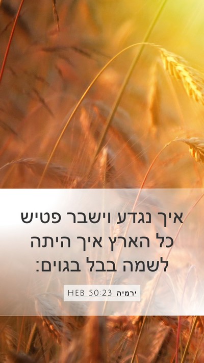 ירמיה 50:23 HEB Bible Verse Image