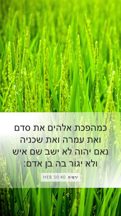 ירמיה 50:40 HEB Bible Verse Image