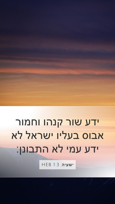 ישעיה 1:3 HEB Bible Verse Image